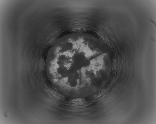 X0000092230659200710121219