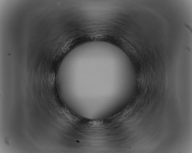 X0000092230660200710121219