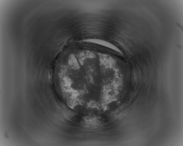 X0000092230661200710121219