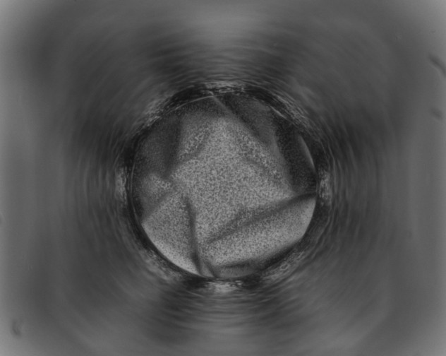 X0000092230662200710121219