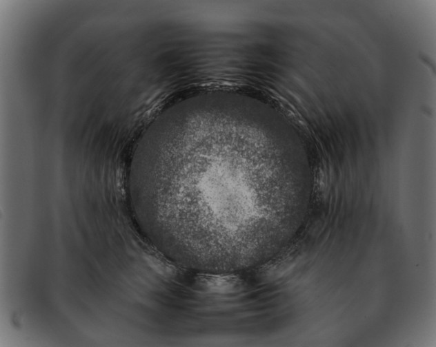 X0000092230663200710121219