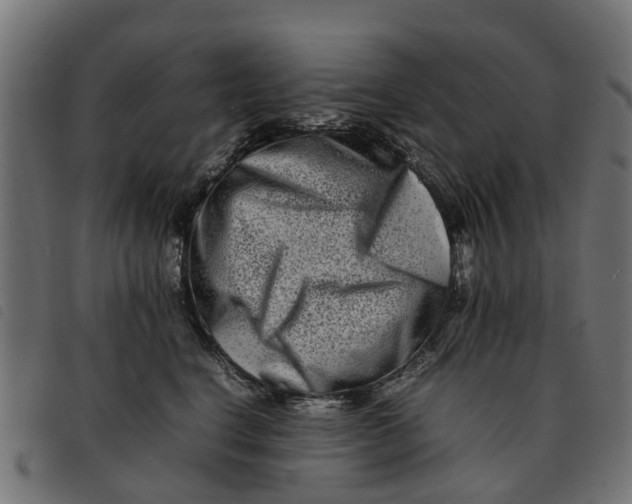 X0000092230664200710121219