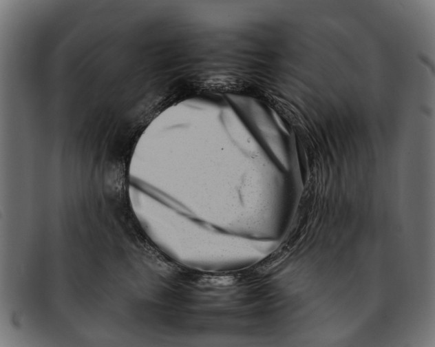 X0000092230665200710121219