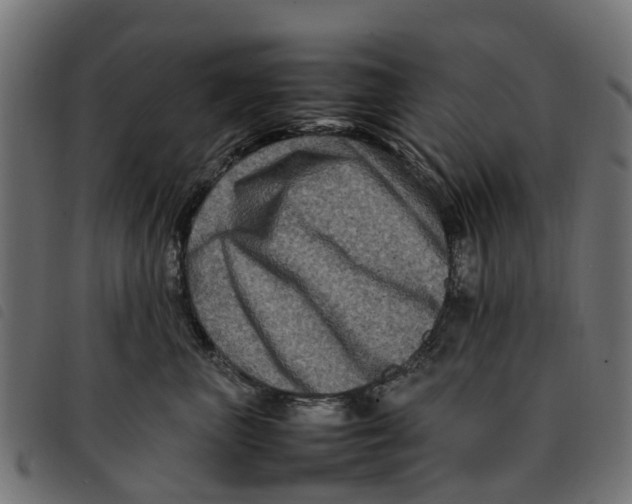 X0000092230667200710121219