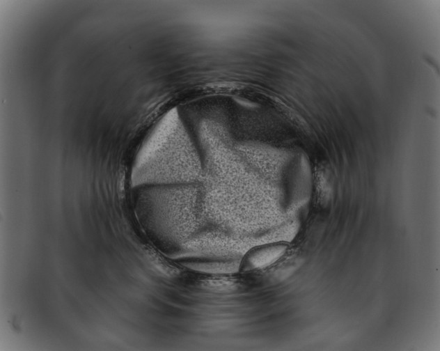 X0000092230668200710121219