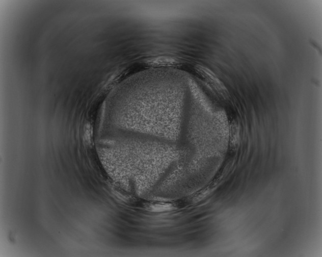 X0000092230669200710121219