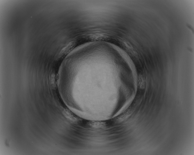 X0000092230670200710121219