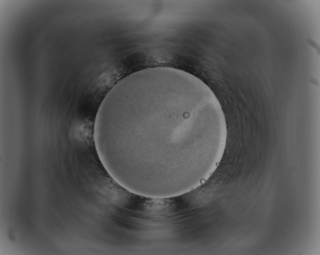 X0000092230672200710121219