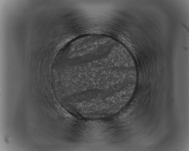 X0000092230673200710121218