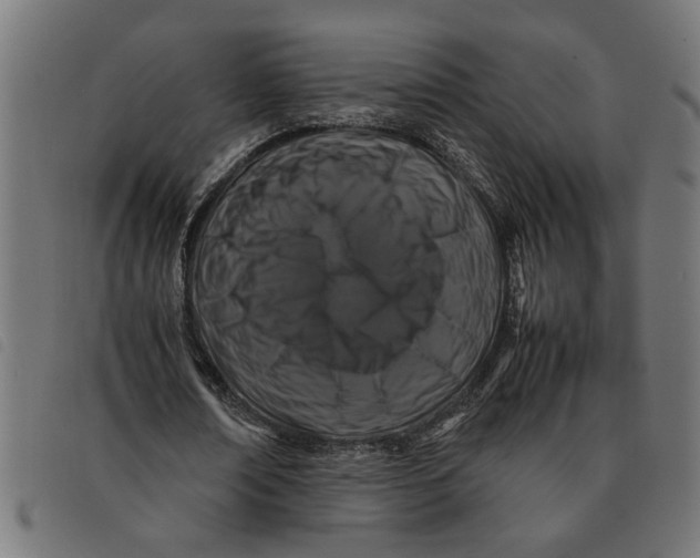 X0000092230674200710121218