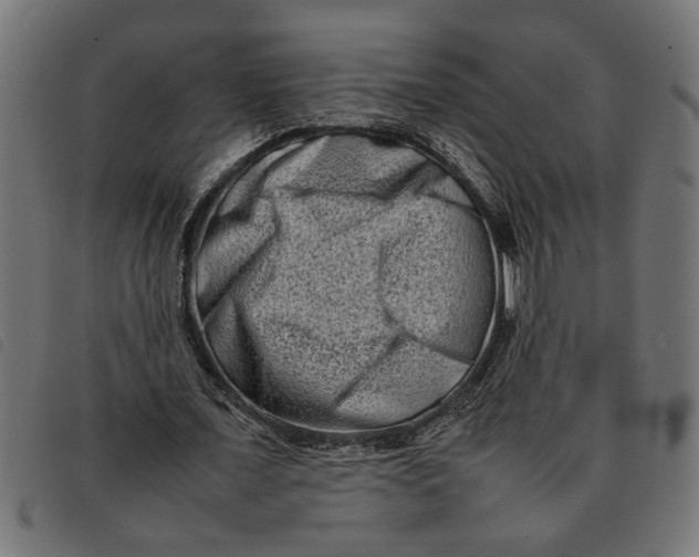 X0000092230675200710121218