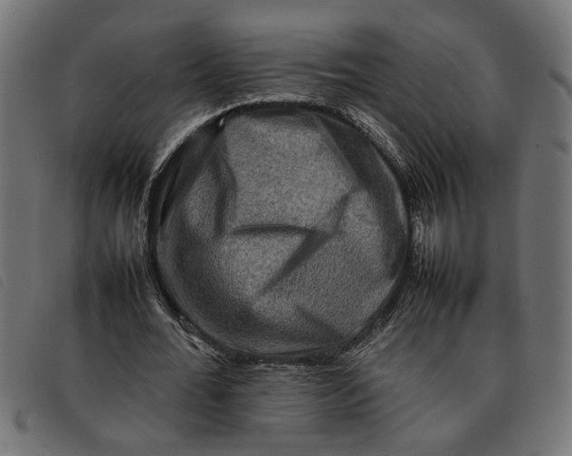 X0000092230676200710121218