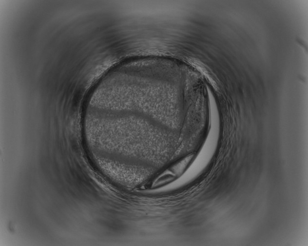 X0000092230677200710121218