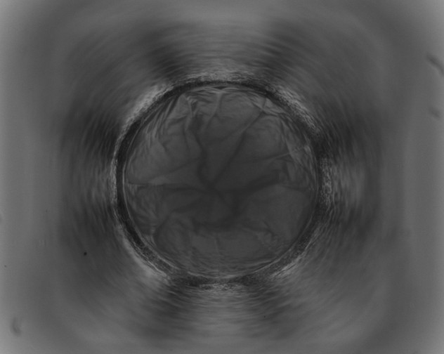 X0000092230678200710121218