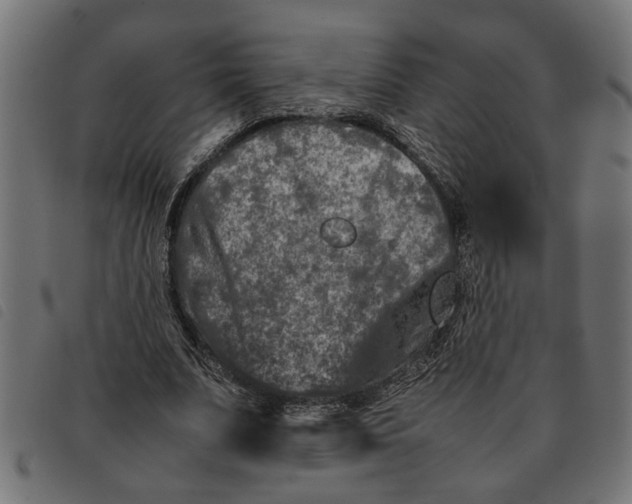 X0000092230679200710121218