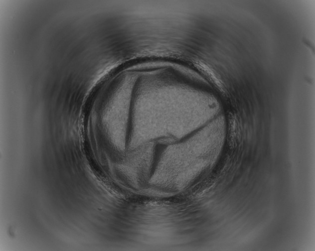 X0000092230680200710121218