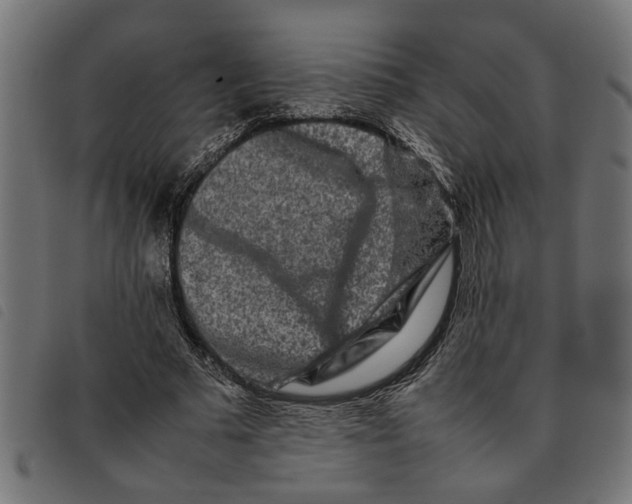 X0000092230681200710121218