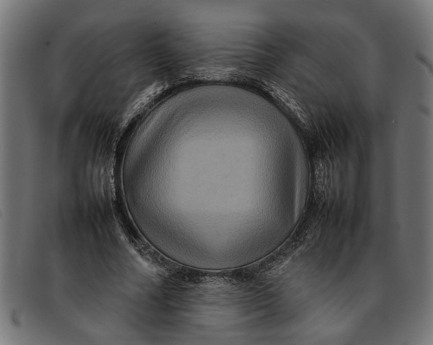 X0000092230682200710121218