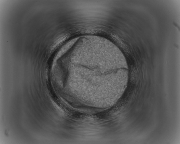 X0000092230683200710121218