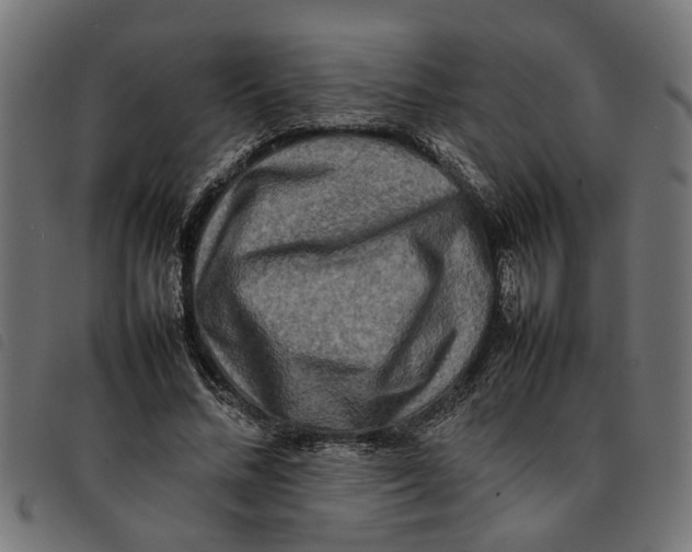 X0000092230684200710121218