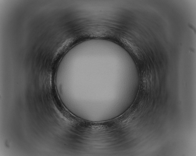 X0000092230686200710121218