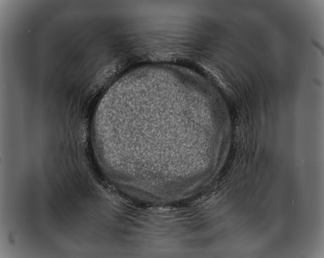 X0000092230687200710121218