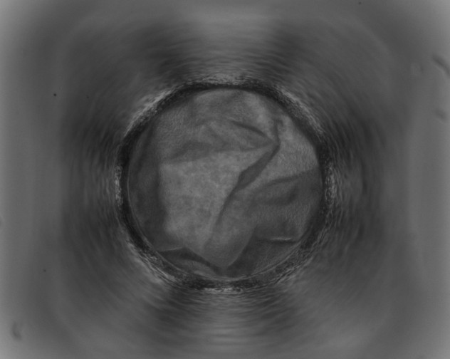 X0000092230688200710121218