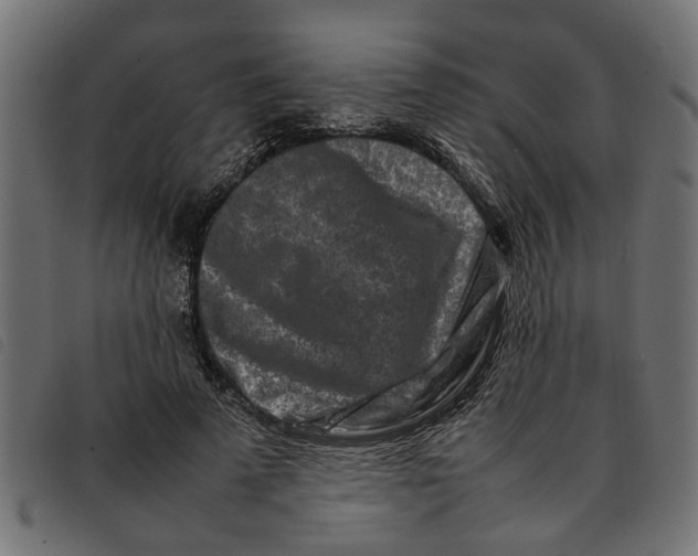 X0000092230689200710121218