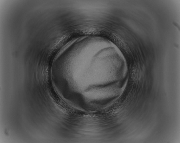 X0000092230690200710121218