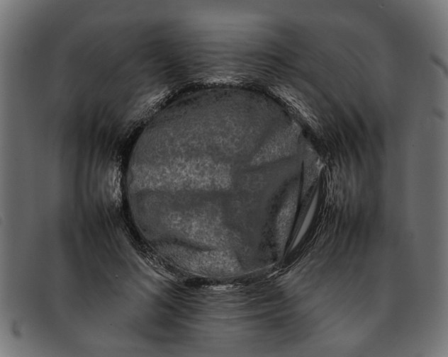 X0000092230692200710121218