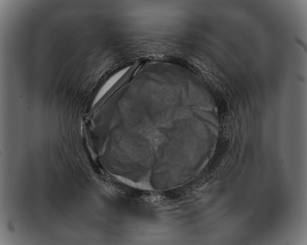 X0000092230695200710121218