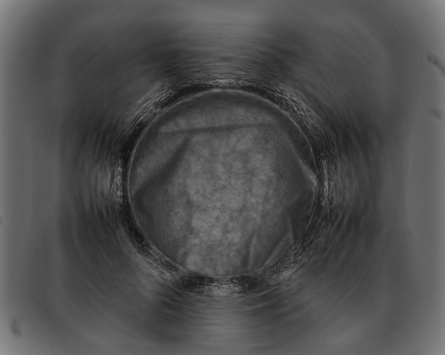 X0000092230696200710121218