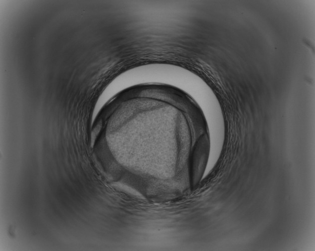 X0000092230697200710121218