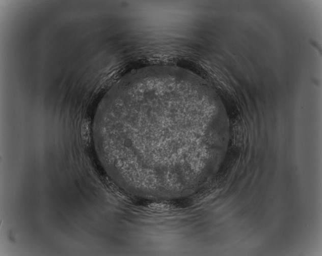 X0000092230699200710121218