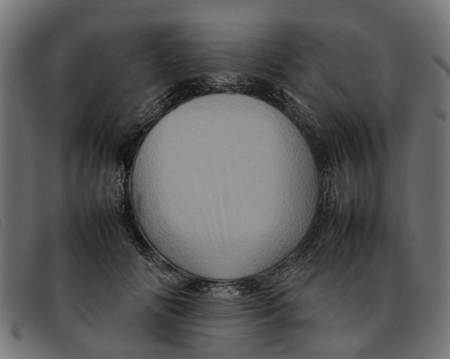 X0000092230702200710121218