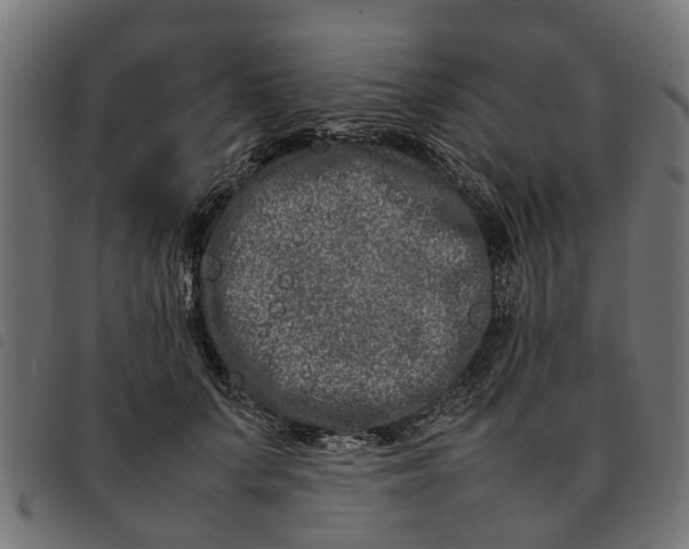 X0000092230703200710121218