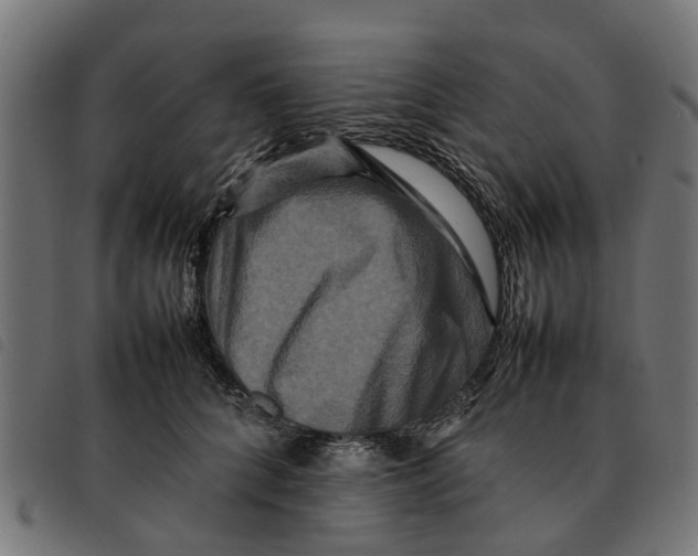 X0000092230704200710121218