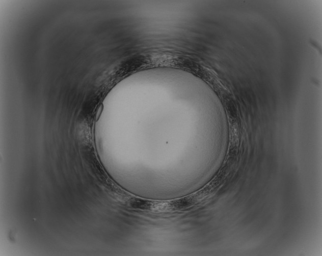 X0000092230705200710121218