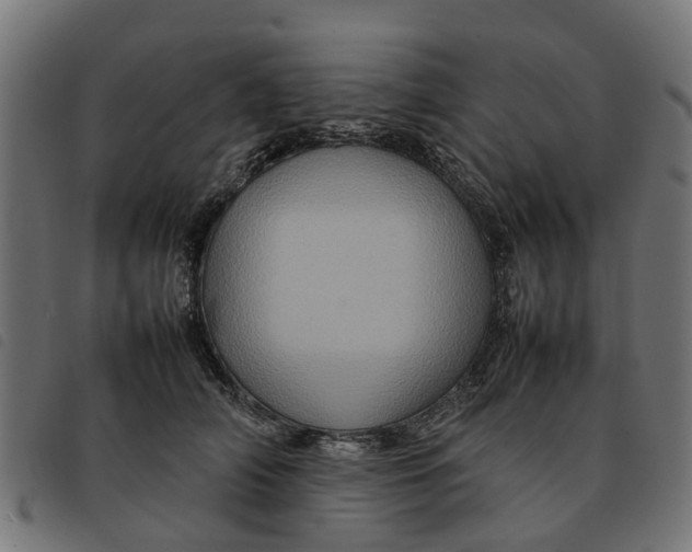 X0000092230706200710121218