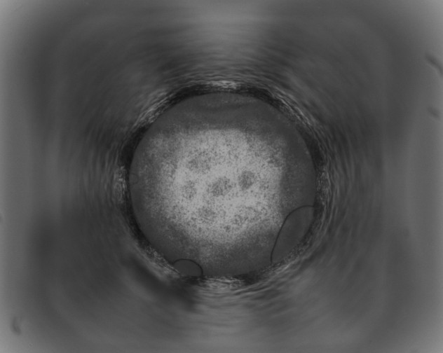 X0000092230707200710121218