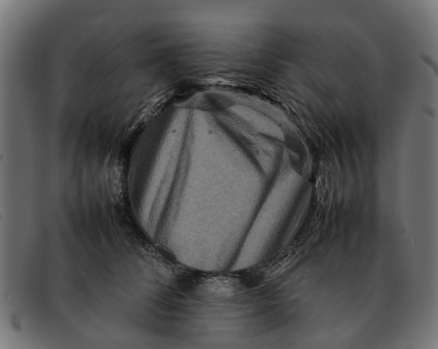 X0000092230708200710121218