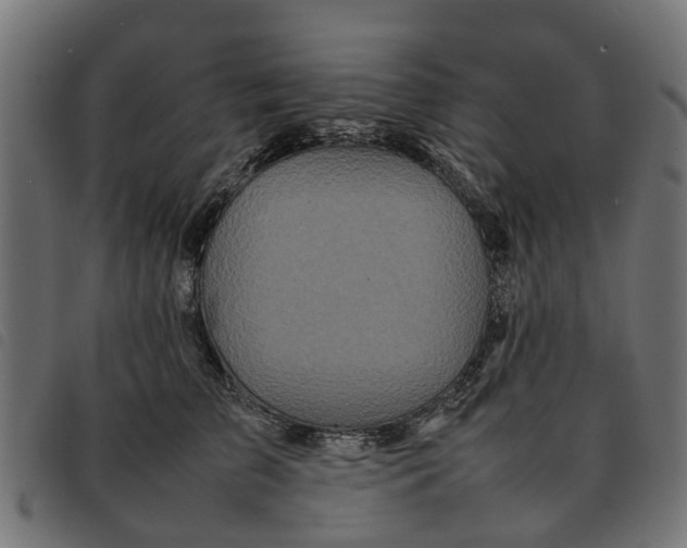 X0000092230709200710121218