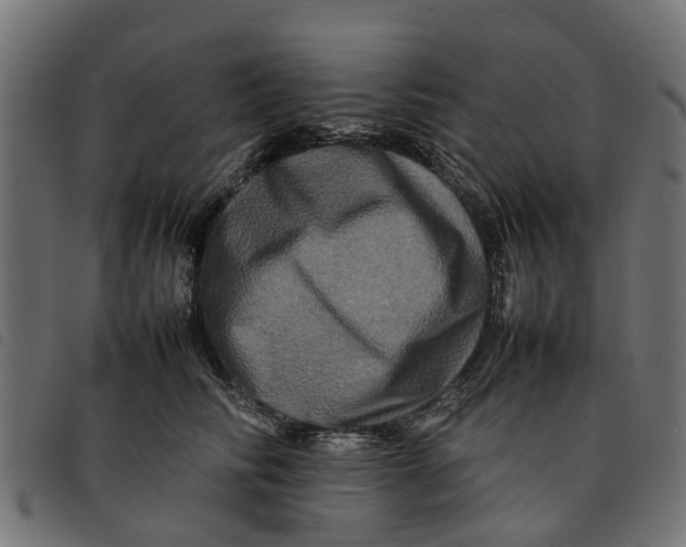 X0000092230710200710121218