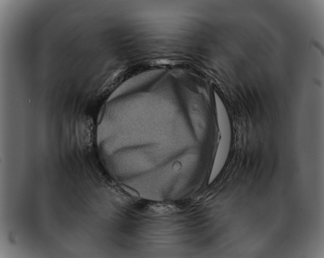 X0000092230712200710121218