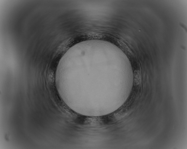 X0000092230713200710121218