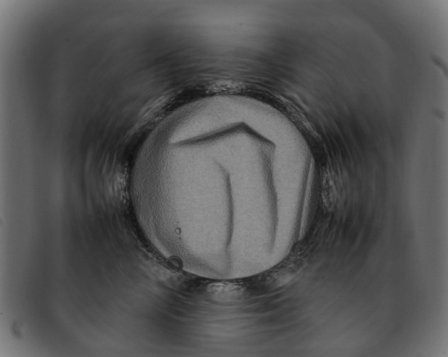 X0000092230714200710121218