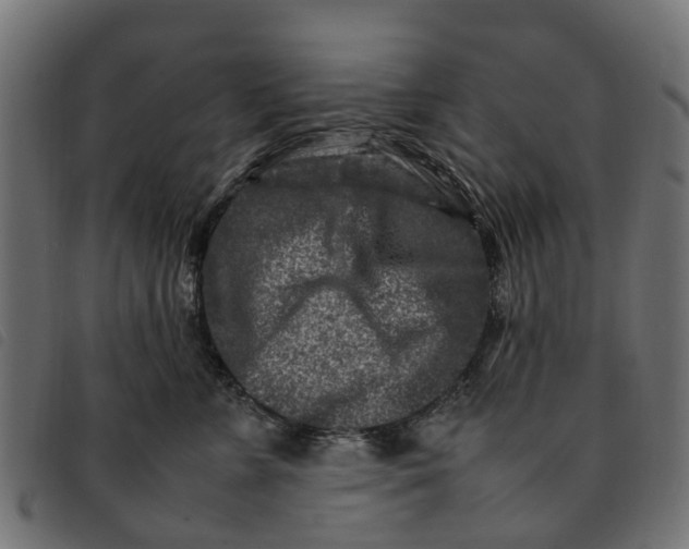 X0000092230715200710121218