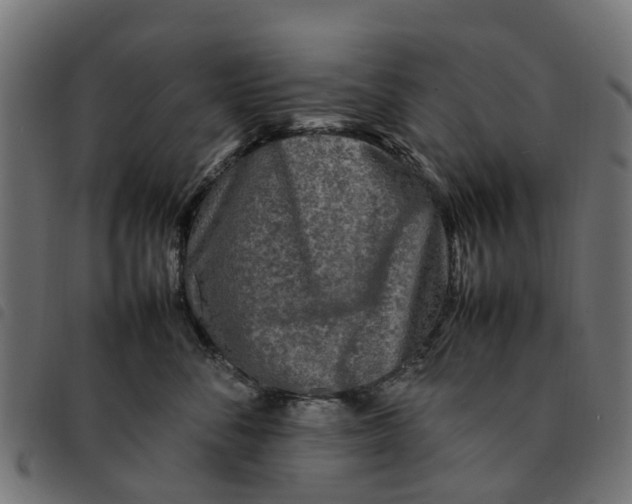 X0000092230716200710121218