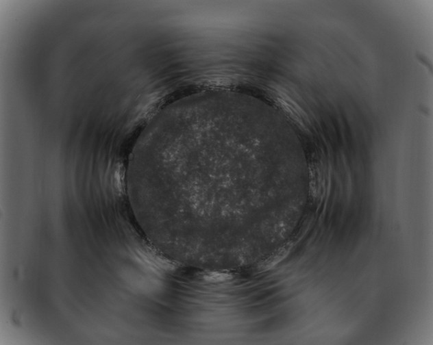 X0000092230718200710121218