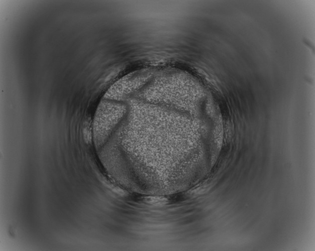 X0000092230719200710121218